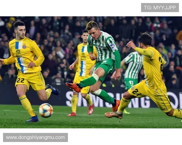 埃梅里家族入股助皇家联合重返西协甲